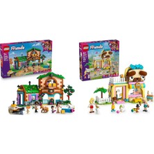 LEGO Friends Seti 48 (42654 + 42650)