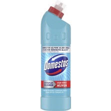 Domestos Yoğun Kıvamlı Çamaşır Suyu Okaliptüs Ferahlığı 750 ml 2 Adet