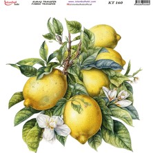 Hayal Sanat Istanbul Hobi Kumaş Transfer Kt 160  20X20CM