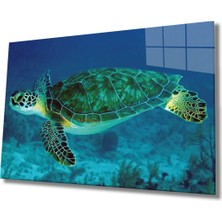 Marsilyan Nw Özel  Deniz Kaplumbağası Cam Tablo Sea Turtle