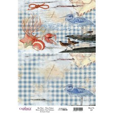 Hayal Sanat Cadence Pirinç Dekopaj Kağıdı Model No 828