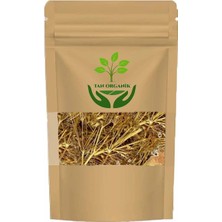 Tan Organik Melek Otu (Angelica Archangelica) 500GR