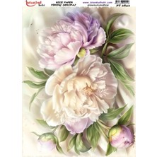 Hayal Sanat Istanbul Hobi Pirinç Dekopaj PT3843