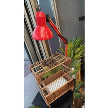 Kıskaçlı Masa Lambası - Sıkıştırmalı-Akrobat