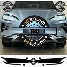 Ael-Tech Byd Seal Dm Uyumlu Far Tpu Koruyucu 4lü Set 2023-2026