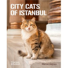 Thames & Hudson City Cats of Istanbul