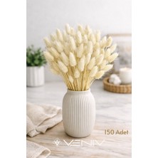 Veniv 150 Adet Dekoratif Aranjman Doğal Kurutulmuş Pamuk Otu Lagarus Tavşan Kuyruğu