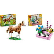 LEGO Creator Seti 37 (31166 + 31169)