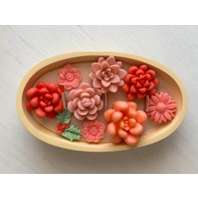 Violet Candle Decor Kayık Saksıda Sukulent Aranjman Meyve Kokulu Mum