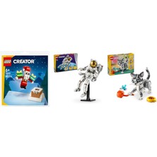 LEGO Creator Seti 163 (30692 + 31152 + 31163)