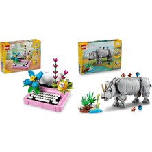 LEGO Creator Seti 62 (31169 + 31171)