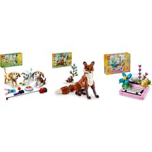 LEGO Creator Seti 147 (31137 + 31154 + 31169)