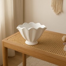 Decostone Dekoratif Midye Saksı Küçük