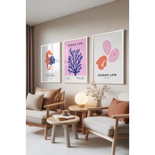 Zestia Beyaz Çerçeveli 3’lü Tablo Seti, Ocean Life – Denizatı, Mercan ve Midye, Oturma Odası Set No: 30047