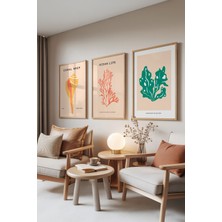 Zestia Ahşap Çerçeveli 3’lü Tablo Seti, Coral Reef – Deniz Kabukları ve Mercanlar, Ofis Set No: 30048