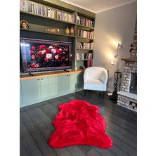 Doğuş Peluş Halı A Post Kırmızı Yumuşak Dokulu Peluş Halı Tek Kafa Post