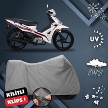 ULTRASHOP Kuba Reiz 50