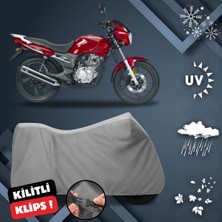 ULTRASHOP Kanuni Puma 150