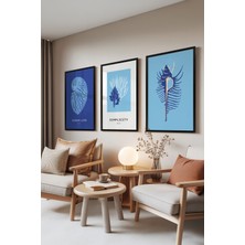 Zestia Siyah Çerçeveli 3’lü Tablo Seti, Okyanus Mavisi Kabuklar ve Mercanlar, Salon Set No: 30051