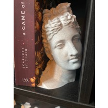 Apollon Kitaplık Dekoru