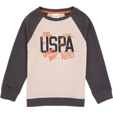 U.s. Polo Assn. Erkek Çocuk Gri Sweatshirt 50316542-VR024