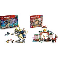 LEGO Ninjago Seti 32 (71843 + 71831)
