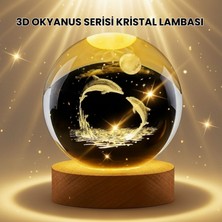 Zero Land Sptrns Lazer Işlemeli Yunus Kristal Küre Sıcak Işıklı Ahşap Standlı