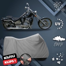 ULTRASHOP Regal Raptor Spyder 250