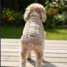 TrendyPati Köpekler Için Boğazlı Örgü Kazak –krem Rengi - Sırt :35 cm Göğüs 45-50 cm