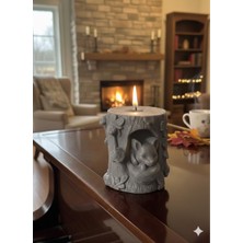 Ağaç Kovuğunda Tilki Mum