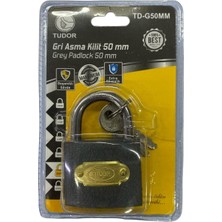 Verto Ennalbur Tudor 50 mm Kısa Gri Asma Kilit