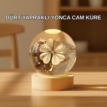 Teknomiy Dört Yapraklı Küre