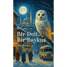 Kadran Medya Yayıncılık Bir Deli Bir Baykuş