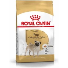 Butik Royal Canin Pug Adult Yetişkin Köpek Maması 1.5 kg