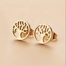 Sevas Gold Altın Renk Kadın Hayat Ağacı Küpe