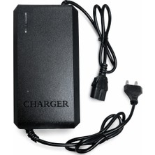 48V 20AH Elektrikli Bisiklet Şarj Cihazı Aleti Charger