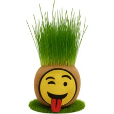 Çimcik 9210 Çim Adam Çim Kafa Mini 09 Muzip