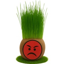 Çimcik 9210 Çim Adam Çim Kafa Mini 08 Kızgın