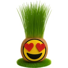 Çimcik 9210 Çim Adam Çim Kafa Mini 01 Aşık