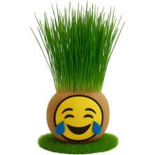 Çimcik 9210 Çim Adam Çim Kafa Mini 05 Gülmekten Ağlayan