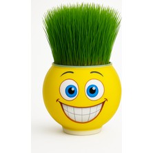 Çimcik 9050 Çim Adam Mini Gülen Surat