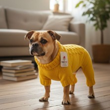 Trendypati Köpekler İçin Boğazlı Örgü Tulum –Sarı Renk - Sırt :40 Cm Göğüs 40-50 Cm