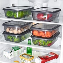 Klassy Nare Saklama Kabı 0,67 Lt