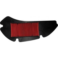 Muhtelif Asya As 150T-6A Honda Dylan 150 Hava Filtresi