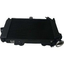 Bajaj Pulsar 200NS Radyatör Orijinal