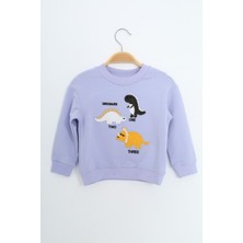 Toontoy Erkek Çocuk Nakışlı Sweatshirt