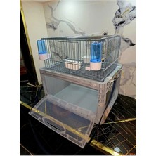 Ceritoğlu Taşıma ve Ötüm Kafesi (Saka-Muhabbet-Kanarya) 2 Farklı Renk-Taşıma Askısı-Kapaklı-Gri