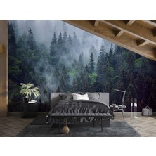 Grown Sisler Arasında Çam Ormanı Duvar Kağıdı