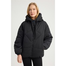 Home Store Kapşonu Yazılı Puffer Mont