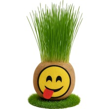 Çimcik 9210 Çim Adam Çim Kafa Mini 04 Şımarık